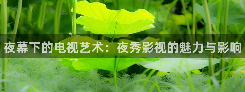 青丝影院