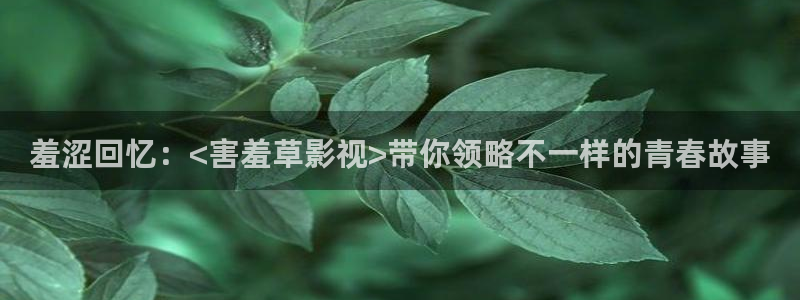 青丝影院在线