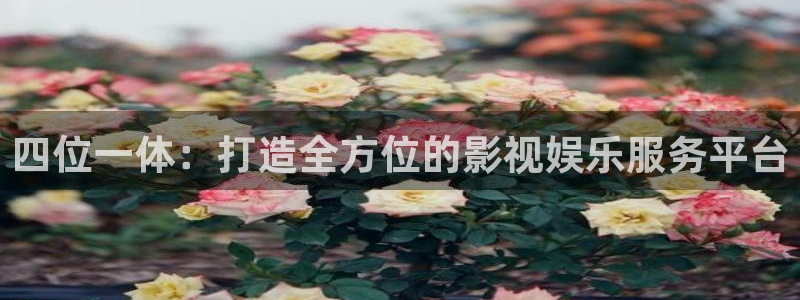 青丝瓜视频：四位一体：打造全方位的影视娱乐服务平台