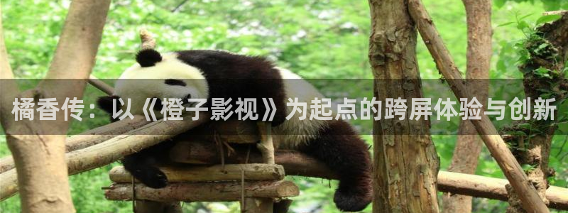 青丝影院电视剧在线观看全集高清：橘香传：以《橙子影视》为起点的跨屏体验与创新