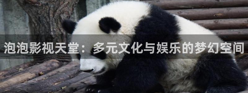 青丝影院免费观看电视剧高清全集
