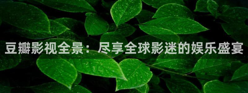 青丝影院视频在线播放：豆瓣影视全景：尽享全球影迷的娱乐盛宴