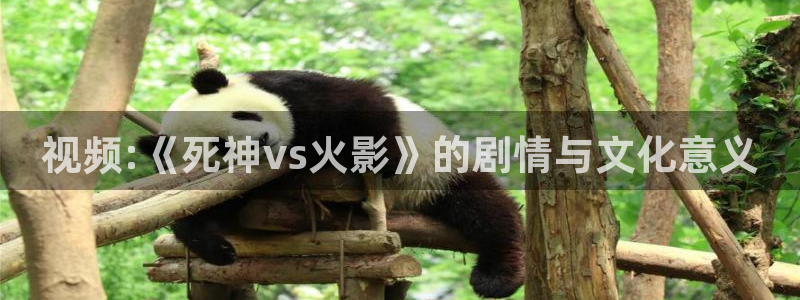 青丝影院电视剧播放量怎么样：视频:《死神vs火影》的剧情与文化意义